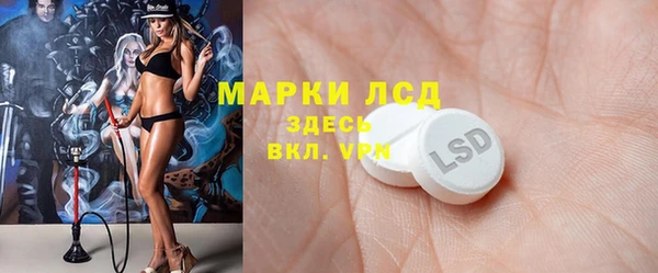 трава Аркадак