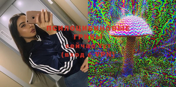 трава Аркадак