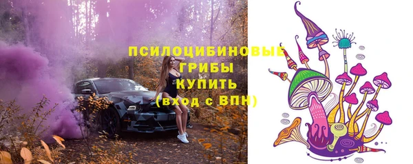 трава Аркадак