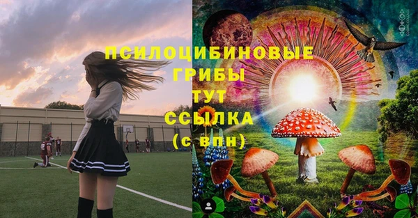 a pvp Арсеньев