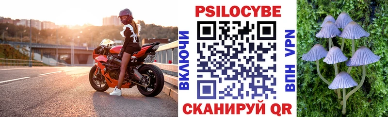 Галлюциногенные грибы Psilocybe  закладка  Жигулёвск 